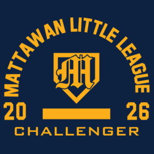 Challenger- - Youth Fan Favorite Fleece Pullover Hooded Sweatshirt Design