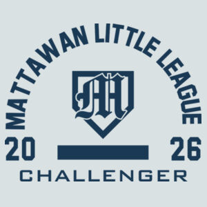 Challenger- - Youth Perfect Tri ® Tee Design